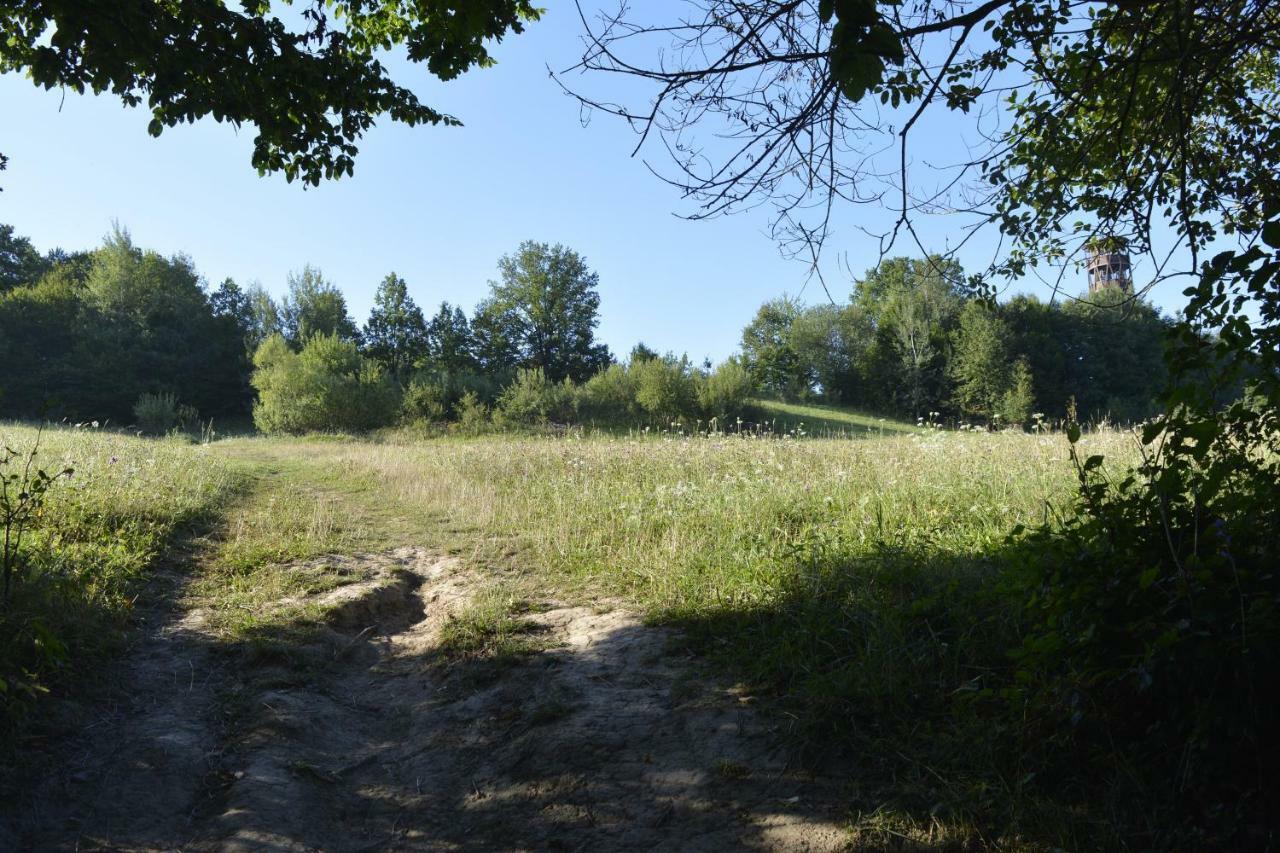 Casa Muskátli Vendégház Sovata Esterno foto