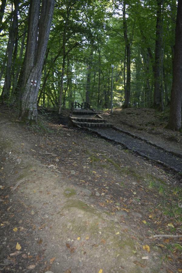 Casa Muskátli Vendégház Sovata Esterno foto